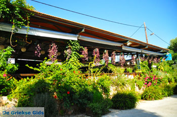 Steni Vala | Alonissos Sporaden Griekenland foto 16 - Foto van https://www.grieksegids.nl/fotos/alonissos/normaal/alonissos-grieksegids-371.jpg