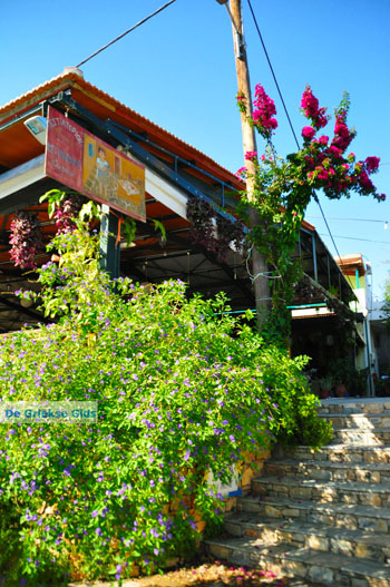 Steni Vala | Alonissos Sporaden Griekenland foto 17 - Foto van https://www.grieksegids.nl/fotos/alonissos/normaal/alonissos-grieksegids-372.jpg