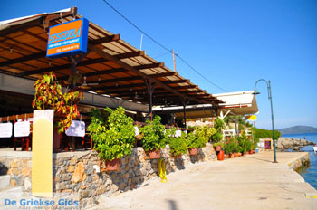 Steni Vala | Alonissos Sporaden Griekenland foto 20 - Foto van https://www.grieksegids.nl/fotos/alonissos/normaal/alonissos-grieksegids-375.jpg