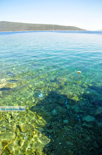 Steni Vala | Alonissos Sporaden Griekenland foto 22 - Foto van https://www.grieksegids.nl/fotos/alonissos/normaal/alonissos-grieksegids-377.jpg