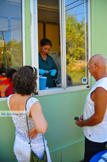 MOM, bescherming Monachus-Monachus zeehonden Alonissos | Sporaden foto 10 - Foto van https://www.grieksegids.nl/fotos/alonissos/normaal/alonissos-grieksegids-382.jpg