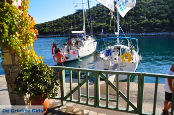 Steni Vala | Alonissos Sporaden Griekenland foto 30 - Foto van https://www.grieksegids.nl/fotos/alonissos/normaal/alonissos-grieksegids-389.jpg