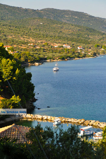 Van Steni Vala naar Agios Dimitrios | Alonissos Sporaden Griekenland foto 2 - Foto van https://www.grieksegids.nl/fotos/alonissos/normaal/alonissos-grieksegids-411.jpg