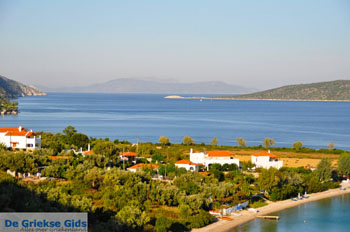 Agios Dimitrios | Alonissos Sporaden Griekenland foto 5 - Foto van https://www.grieksegids.nl/fotos/alonissos/normaal/alonissos-grieksegids-422.jpg