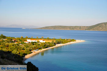 Agios Dimitrios | Alonissos Sporaden Griekenland foto 6 - Foto van https://www.grieksegids.nl/fotos/alonissos/normaal/alonissos-grieksegids-423.jpg