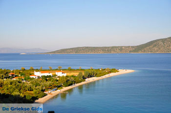 Agios Dimitrios | Alonissos Sporaden Griekenland foto 8 - Foto van https://www.grieksegids.nl/fotos/alonissos/normaal/alonissos-grieksegids-425.jpg