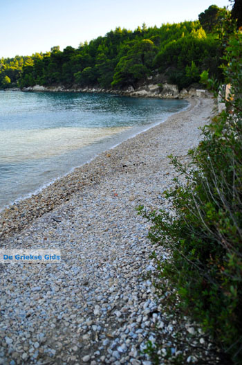 Tzortzi | Alonissos Sporaden Griekenland foto 7 - Foto van https://www.grieksegids.nl/fotos/alonissos/normaal/alonissos-grieksegids-431.jpg