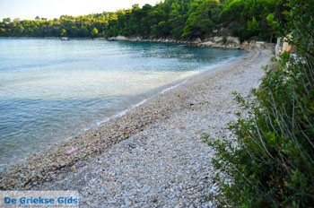 Tzortzi | Alonissos Sporaden Griekenland foto 8 - Foto van https://www.grieksegids.nl/fotos/alonissos/normaal/alonissos-grieksegids-432.jpg