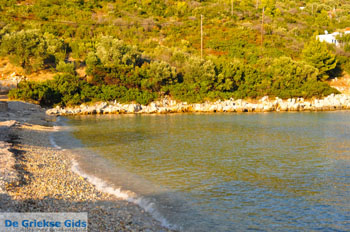 Tzortzi | Alonissos Sporaden Griekenland foto 10 - Foto van https://www.grieksegids.nl/fotos/alonissos/normaal/alonissos-grieksegids-434.jpg