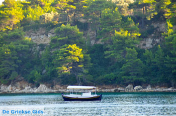 Tzortzi | Alonissos Sporaden Griekenland foto 12 - Foto van https://www.grieksegids.nl/fotos/alonissos/normaal/alonissos-grieksegids-436.jpg