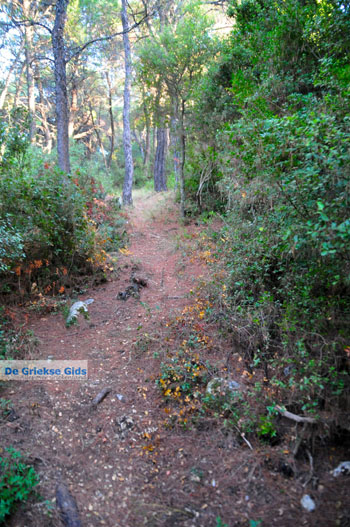 Wandelen bossen bij Agioi Anargiri | Alonissos Sporaden Griekenland - Foto van https://www.grieksegids.nl/fotos/alonissos/normaal/alonissos-grieksegids-440.jpg