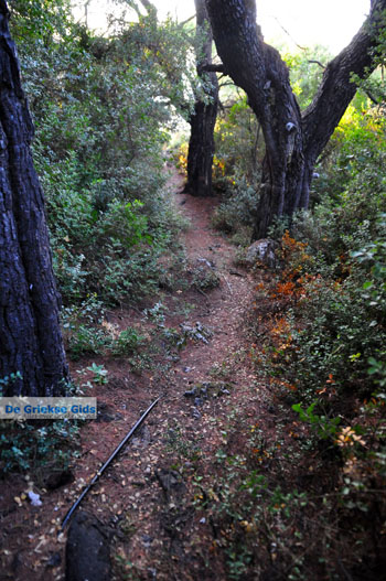 Wandelen bossen bij Agioi Anargiri | Alonissos Sporaden Griekenland - Foto van https://www.grieksegids.nl/fotos/alonissos/normaal/alonissos-grieksegids-441.jpg