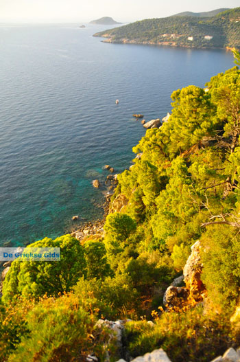 Uitzicht vanaf Agioi Anargiri klooster | Alonissos Sporaden Griekenland foto 1 - Foto van https://www.grieksegids.nl/fotos/alonissos/normaal/alonissos-grieksegids-448.jpg