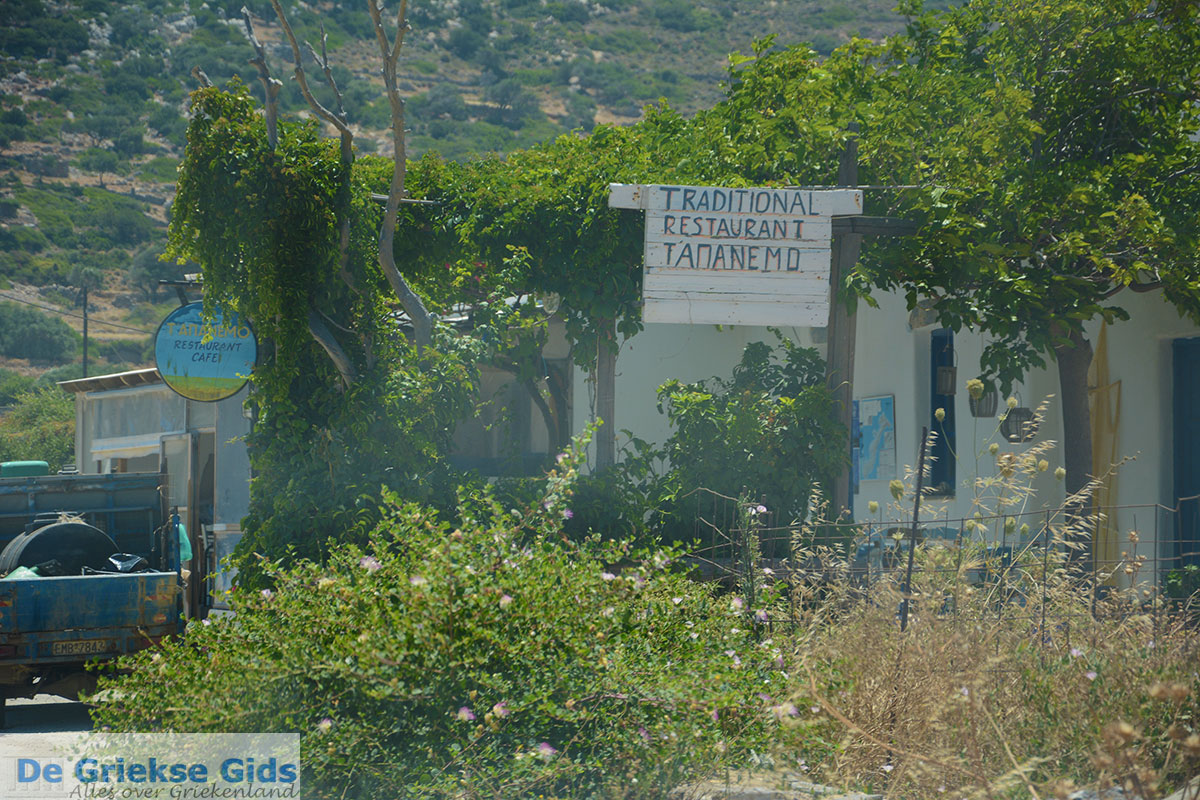 foto Arkesini Amorgos - Eiland Amorgos - Cycladen foto 197