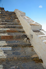 Chozoviotissa Amorgos - Eiland Amorgos - Cycladen foto 81 - Foto van De Griekse Gids