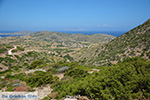 Arkesini Amorgos - Eiland Amorgos - Cycladen foto 162 - Foto van De Griekse Gids