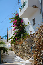 Tholaria Amorgos - Eiland Amorgos - Cycladen Griekenland foto 285 - Foto van De Griekse Gids