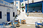 Tholaria Amorgos - Eiland Amorgos - Cycladen Griekenland foto 292 - Foto van De Griekse Gids
