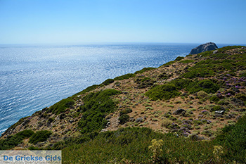 Aghia Anna Amorgos - Eiland Amorgos - Cycladen foto 130 - Foto van https://www.grieksegids.nl/fotos/amorgos/350/eiland-amorgos-130.jpg