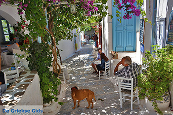 Amorgos stad (Chora) - Eiland Amorgos - Cycladen foto 214 - Foto van https://www.grieksegids.nl/fotos/amorgos/350/eiland-amorgos-214.jpg