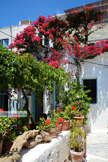 Amorgos stad (Chora) - Eiland Amorgos - Cycladen foto 215 - Foto van https://www.grieksegids.nl/fotos/amorgos/350/eiland-amorgos-215.jpg
