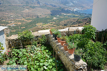 Tholaria Amorgos - Eiland Amorgos - Cycladen Griekenland foto 287 - Foto van https://www.grieksegids.nl/fotos/amorgos/350/eiland-amorgos-287.jpg