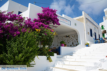 Tholaria Amorgos - Eiland Amorgos - Cycladen Griekenland foto 289 - Foto van https://www.grieksegids.nl/fotos/amorgos/350/eiland-amorgos-289.jpg