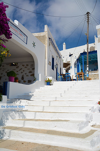 Tholaria Amorgos - Eiland Amorgos - Cycladen Griekenland foto 290 - Foto van https://www.grieksegids.nl/fotos/amorgos/350/eiland-amorgos-290.jpg