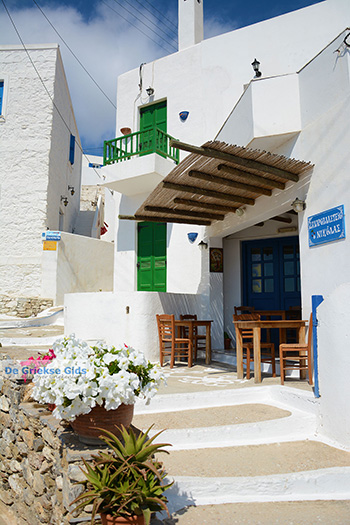 Tholaria Amorgos - Eiland Amorgos - Cycladen Griekenland foto 296 - Foto van https://www.grieksegids.nl/fotos/amorgos/350/eiland-amorgos-296.jpg