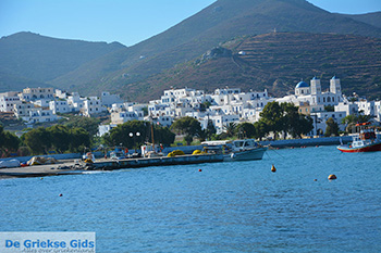 Katapola Amorgos - Eiland Amorgos - Cycladen Griekenland foto 399 - Foto van https://www.grieksegids.nl/fotos/amorgos/350/eiland-amorgos-399.jpg