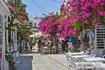 Bougainville in Chora op Antiparos 47 - Foto van De Griekse Gids