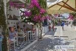 Bougainville in Chora op Antiparos 51 - Foto van De Griekse Gids