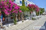 Bougainville in Chora op Antiparos 54 - Foto van De Griekse Gids