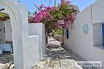 Bougainville in Chora op Antiparos 55 - Foto van De Griekse Gids