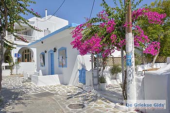 Chora op Antiparos 35 - Foto van https://www.grieksegids.nl/fotos/antiparos/350pix/chora-antiparos-043.jpg