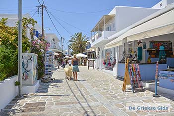 Chora op Antiparos 42 - Foto van https://www.grieksegids.nl/fotos/antiparos/350pix/chora-antiparos-050.jpg