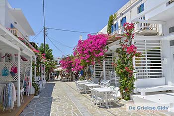 Bougainville in Chora op Antiparos 48 - Foto van https://www.grieksegids.nl/fotos/antiparos/350pix/chora-antiparos-056.jpg