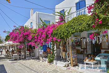 Bougainville in Chora op Antiparos 49 - Foto van https://www.grieksegids.nl/fotos/antiparos/350pix/chora-antiparos-057.jpg