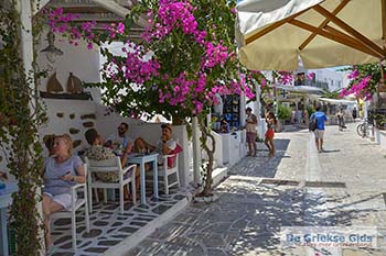 Bougainville in Chora op Antiparos 51 - Foto van https://www.grieksegids.nl/fotos/antiparos/350pix/chora-antiparos-059.jpg