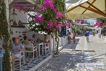 Bougainville in Chora op Antiparos 51 - Foto van https://www.grieksegids.nl/fotos/antiparos/350pix/chora-antiparos-059.jpg