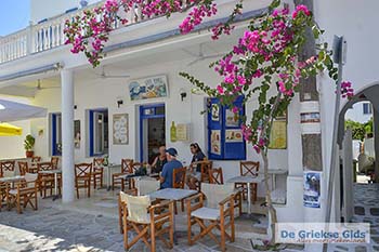 Bougainville in Chora op Antiparos 52 - Foto van https://www.grieksegids.nl/fotos/antiparos/350pix/chora-antiparos-060.jpg