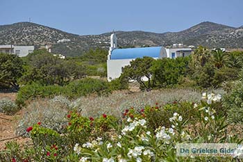 Soros beach op Antiparos 8 - Foto van https://www.grieksegids.nl/fotos/antiparos/350pix/soros-beach-antiparos-008.jpg