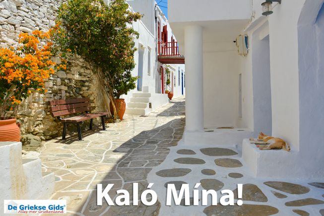 Kalo Mina