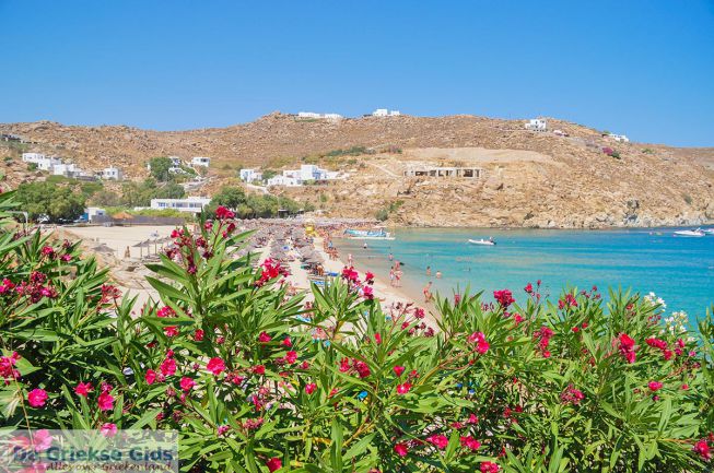 Super Paradise beach Mykonos