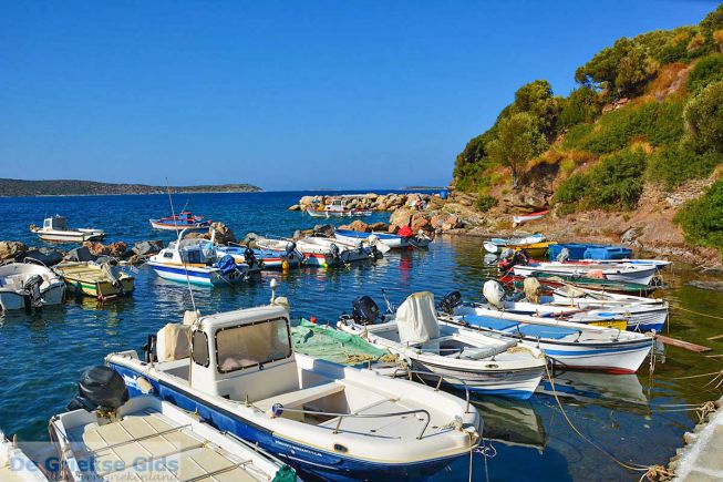 Agia Paraskevi Samos