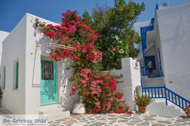 Parikia Paros straatje met bloemen