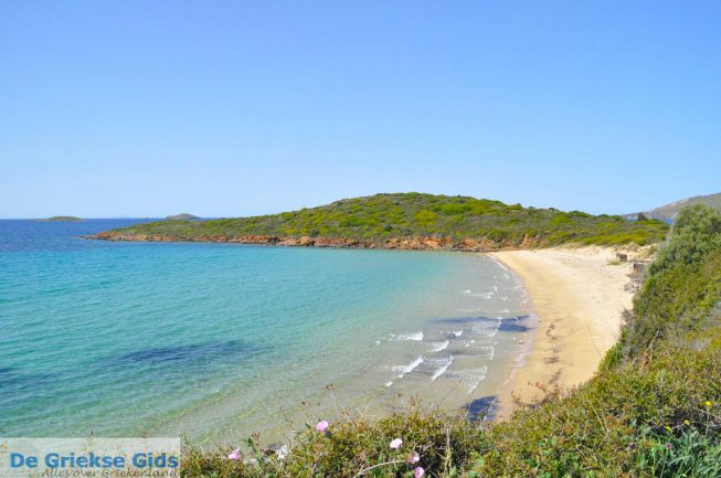 Strand  Kypri (Golden Beach) bij Batsi Andros