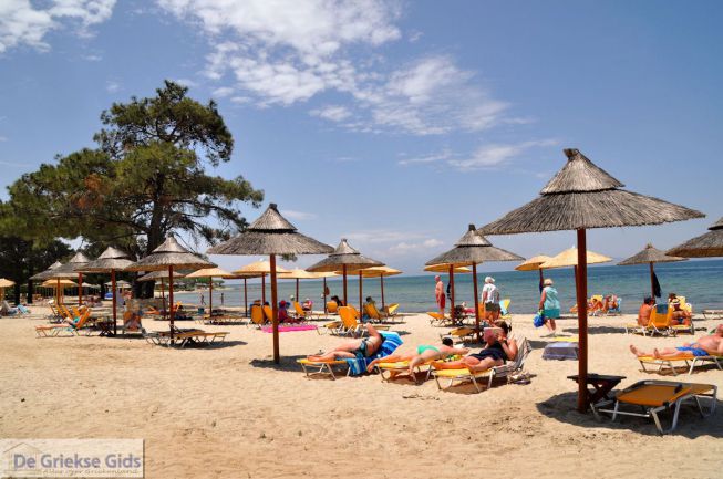 Skala Rachonis beach Thassos