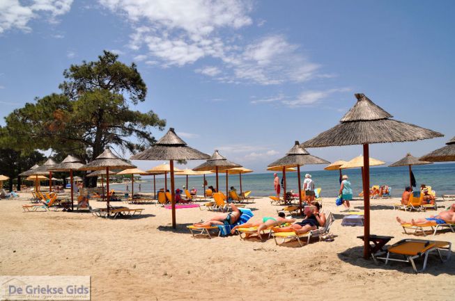 Skala Rachonis beach Thassos