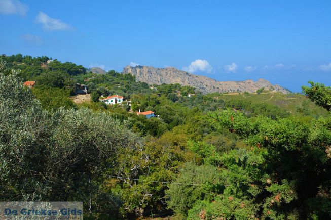 Raches Ikaria